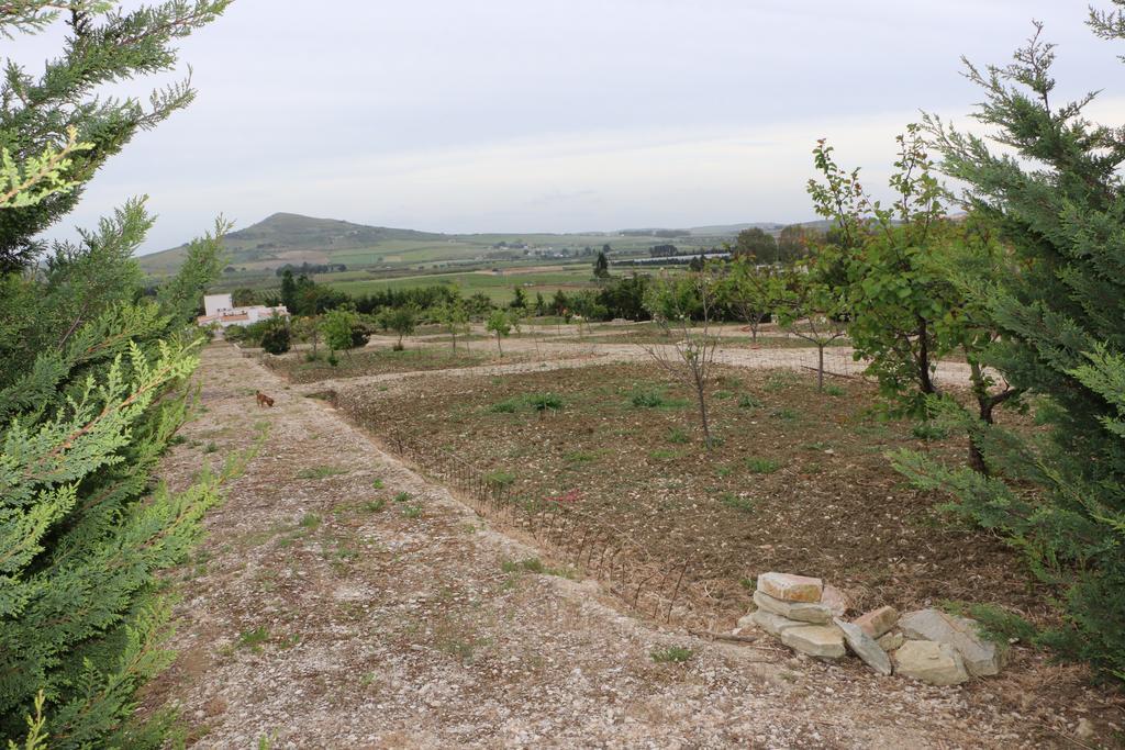 Villa Delle Palme Delfina Trapani Buitenkant foto