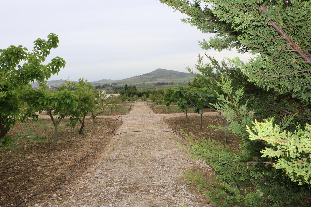 Villa Delle Palme Delfina Trapani Buitenkant foto