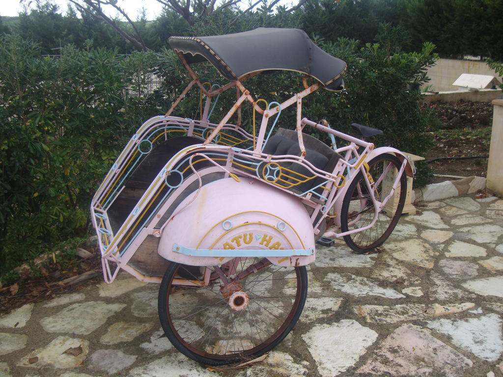 Villa Delle Palme Delfina Trapani Buitenkant foto